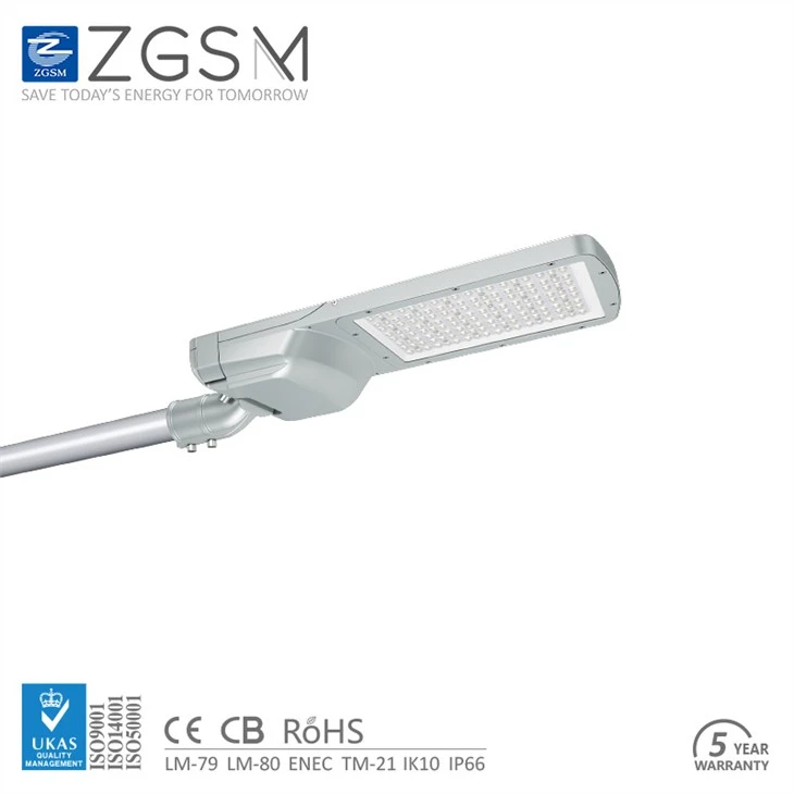 Dali Dimming LED Street Light